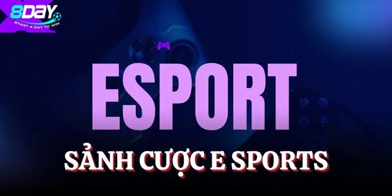 Giới thiệu sảnh chơi nổi cực cuốn hút E Sports