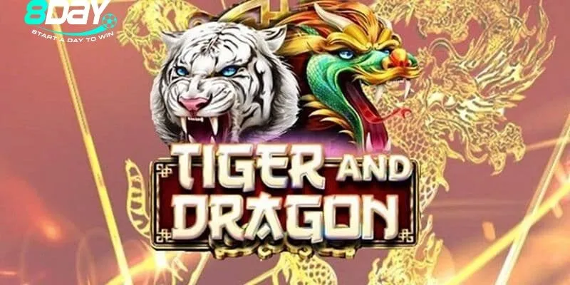 Giới thiệu Rồng hổ 8day siêu phẩm đang “ăn” khách hiện nay