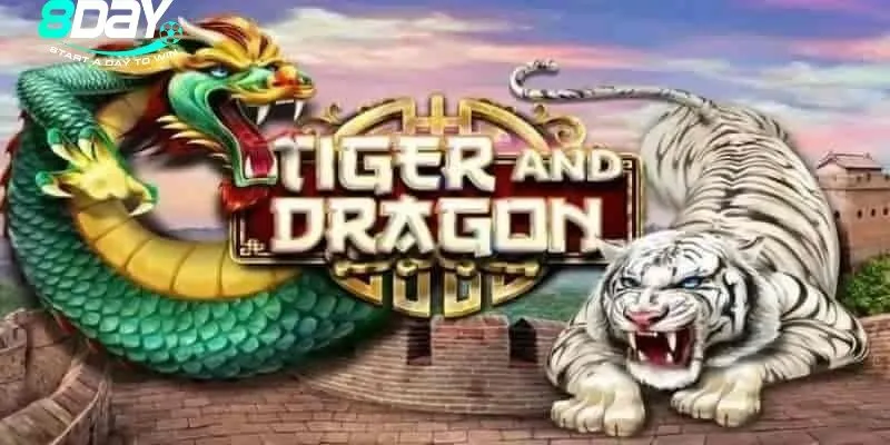 Top cửa cược phổ biến trong Rồng Hổ 8day để bạn chọn lựa khi tham gia